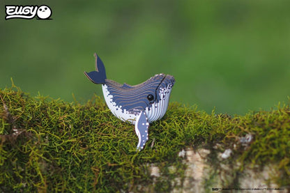 EUGY 3D - Baleine à Bosse
