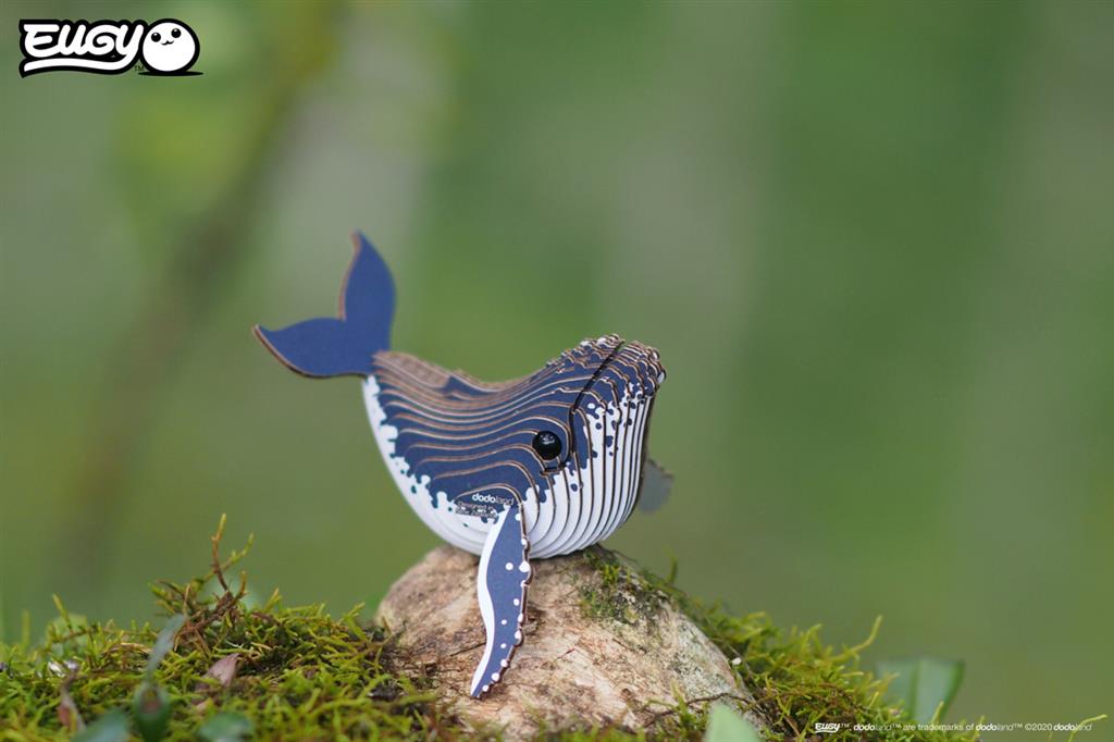 EUGY 3D - Baleine à Bosse