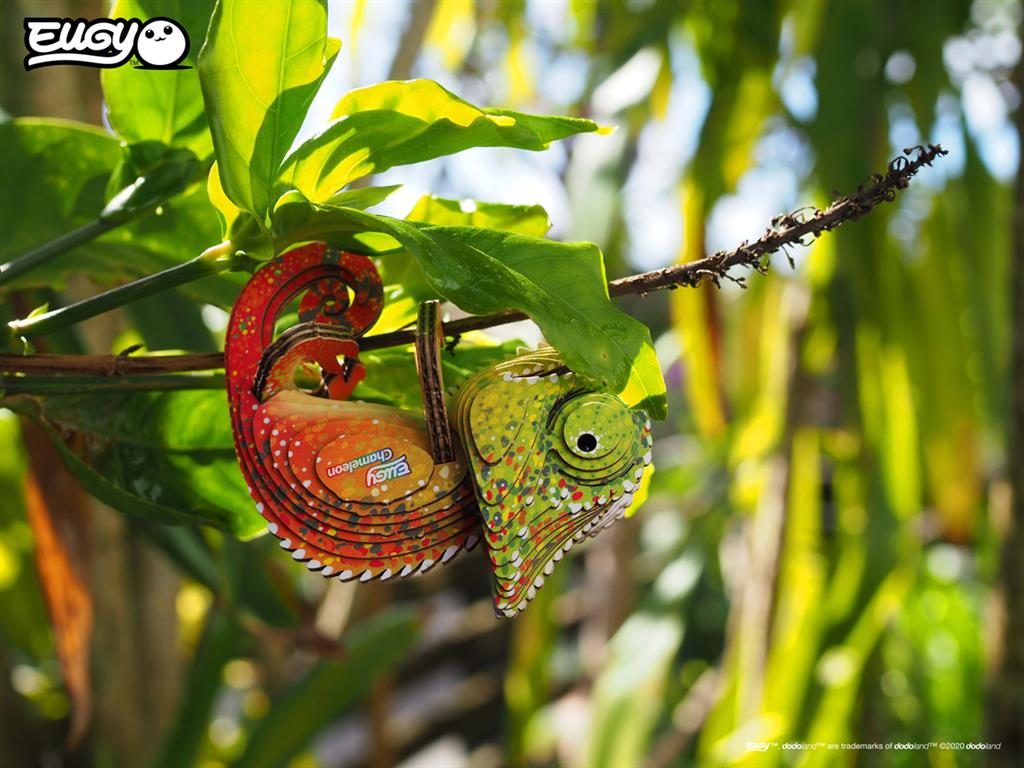 EUGY 3D - Caméléon