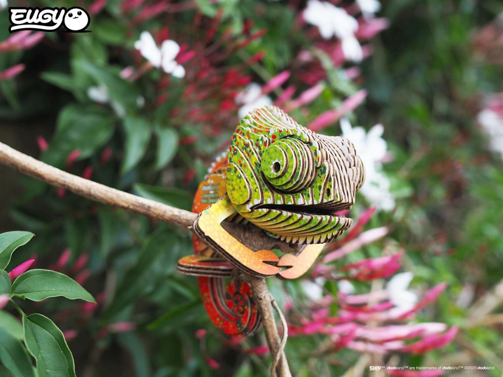 EUGY 3D - Caméléon