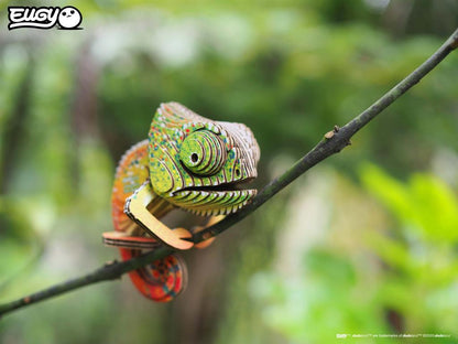 EUGY 3D - Caméléon