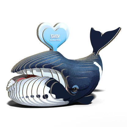 EUGY 3D - Baleine Boréale