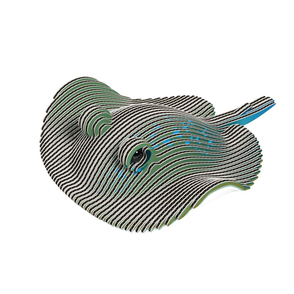 EUGY 3D - Strahl