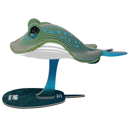 EUGY 3D - Strahl