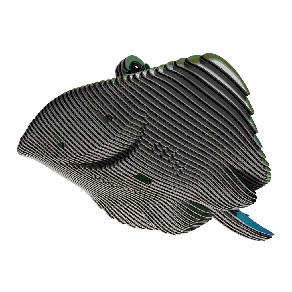 EUGY 3D - Strahl