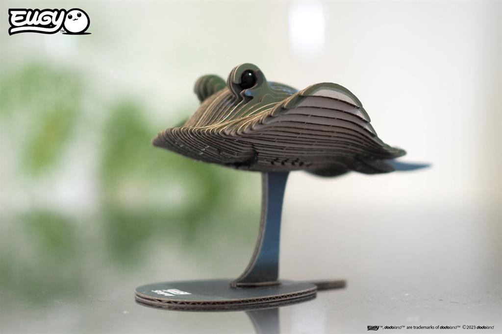 EUGY 3D - Strahl