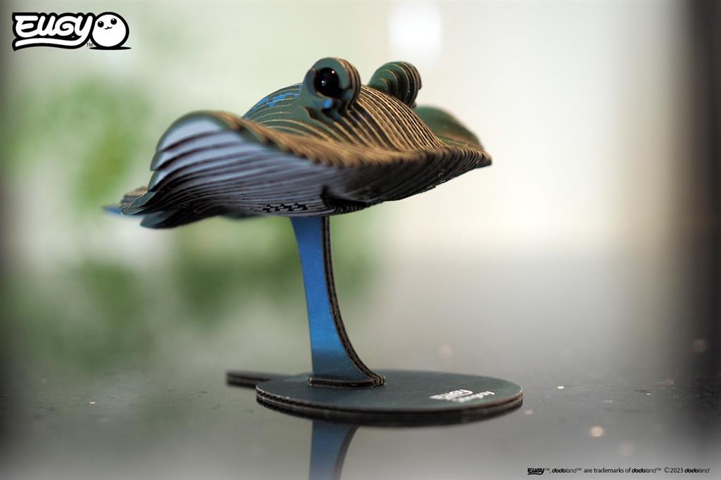EUGY 3D - Strahl