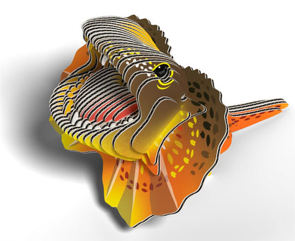 EUGY 3D - Lézard à collerette