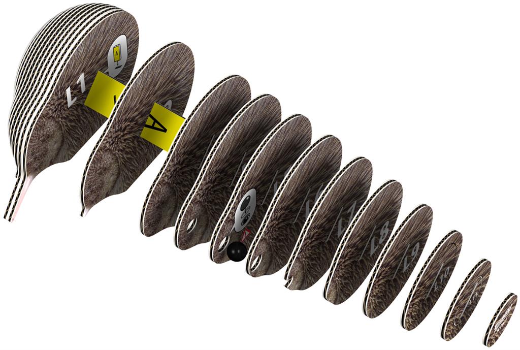 EUGY 3D – Brauner Kiwi