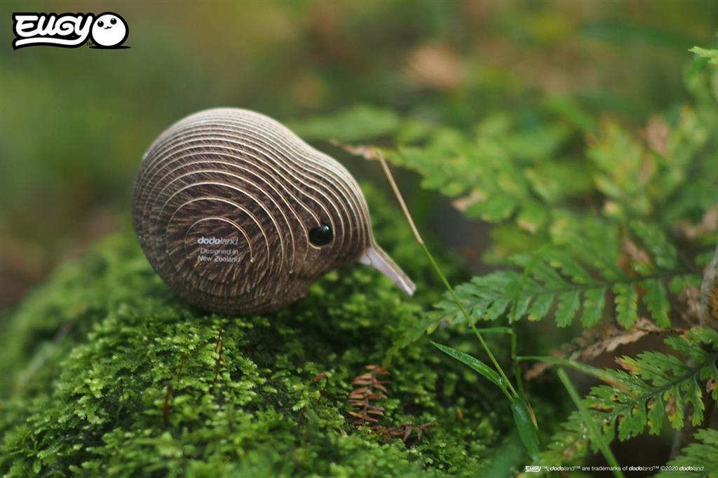 EUGY 3D – Brauner Kiwi