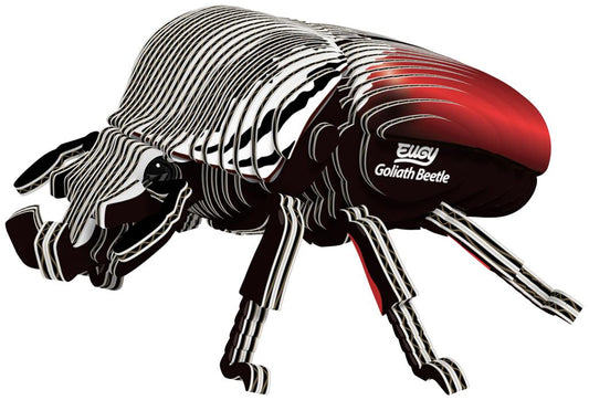 EUGY 3D - Coléoptère Goliath