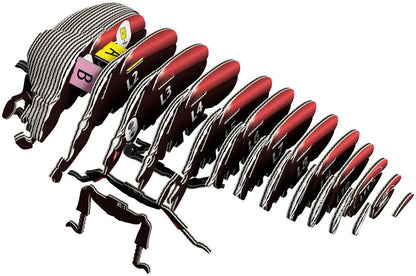 EUGY 3D - Coléoptère Goliath