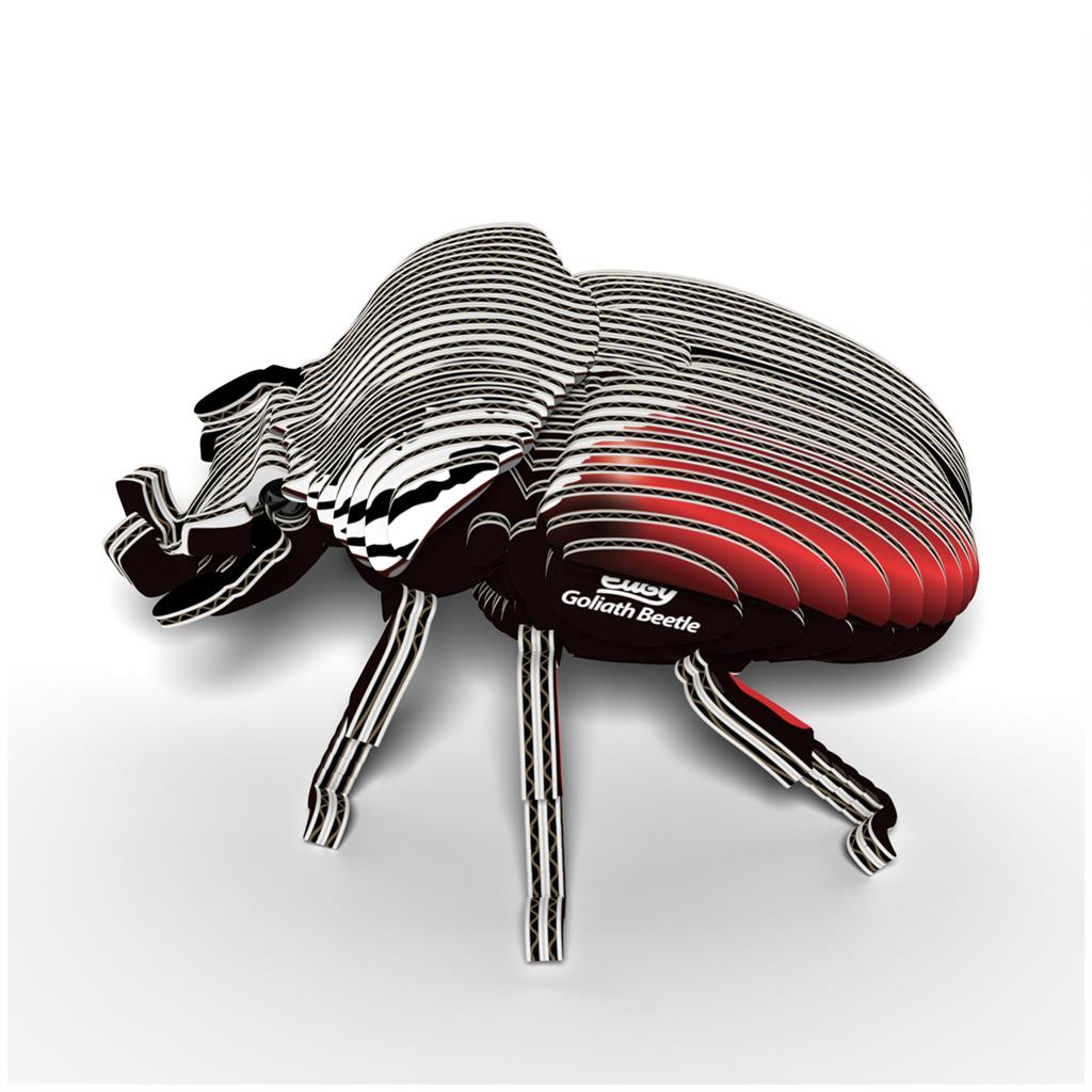 EUGY 3D - Coléoptère Goliath
