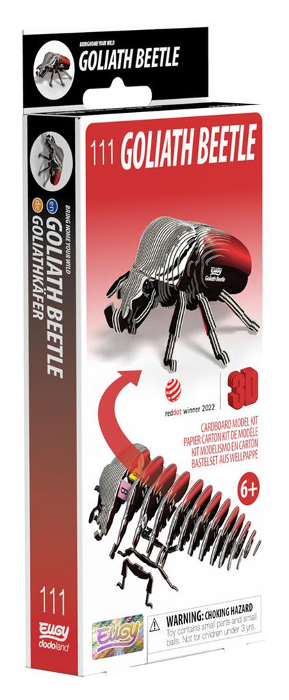 EUGY 3D - Coléoptère Goliath