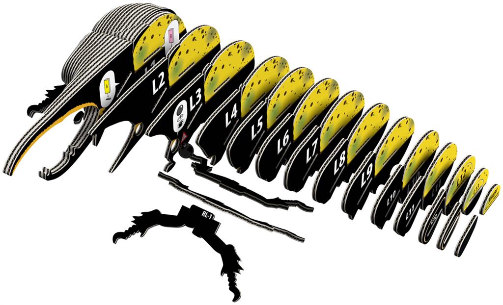 EUGY 3D - Herkuleskäfer