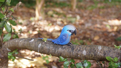 EUGY 3D - Ara de Spix