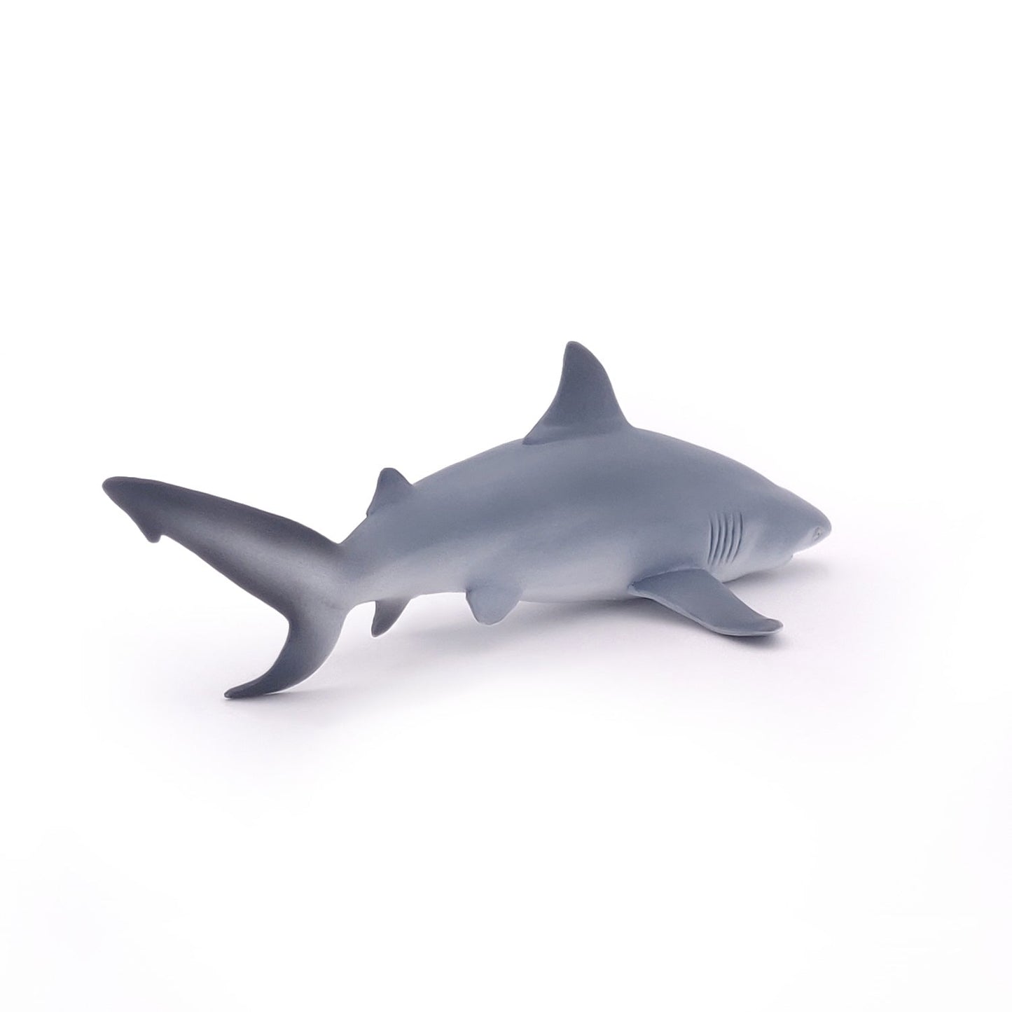 Figurine Requin bouledogue