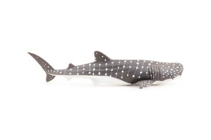 Figurine Jeune requin baleine