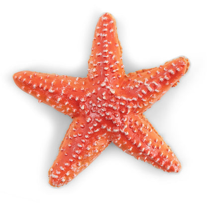 Figurine Etoile de mer