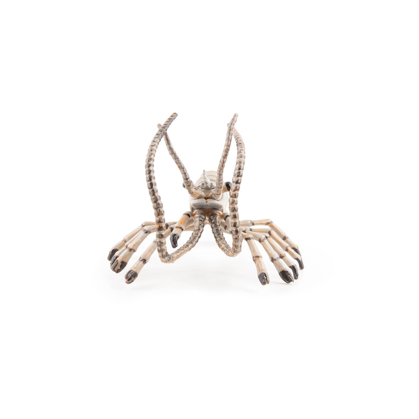 Figurine Crevette