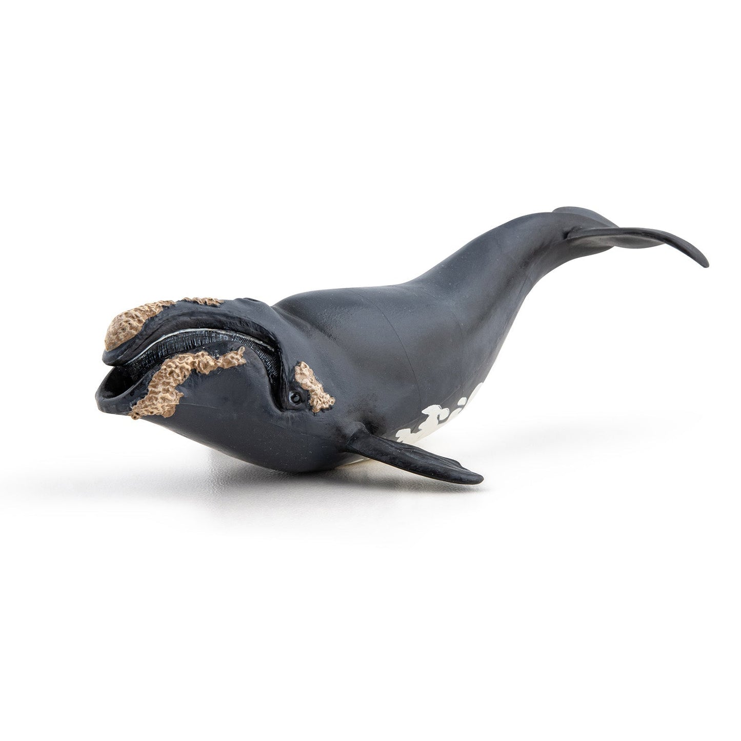 Figurine Baleine franche