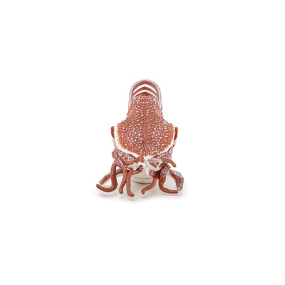 Figurine Nautile