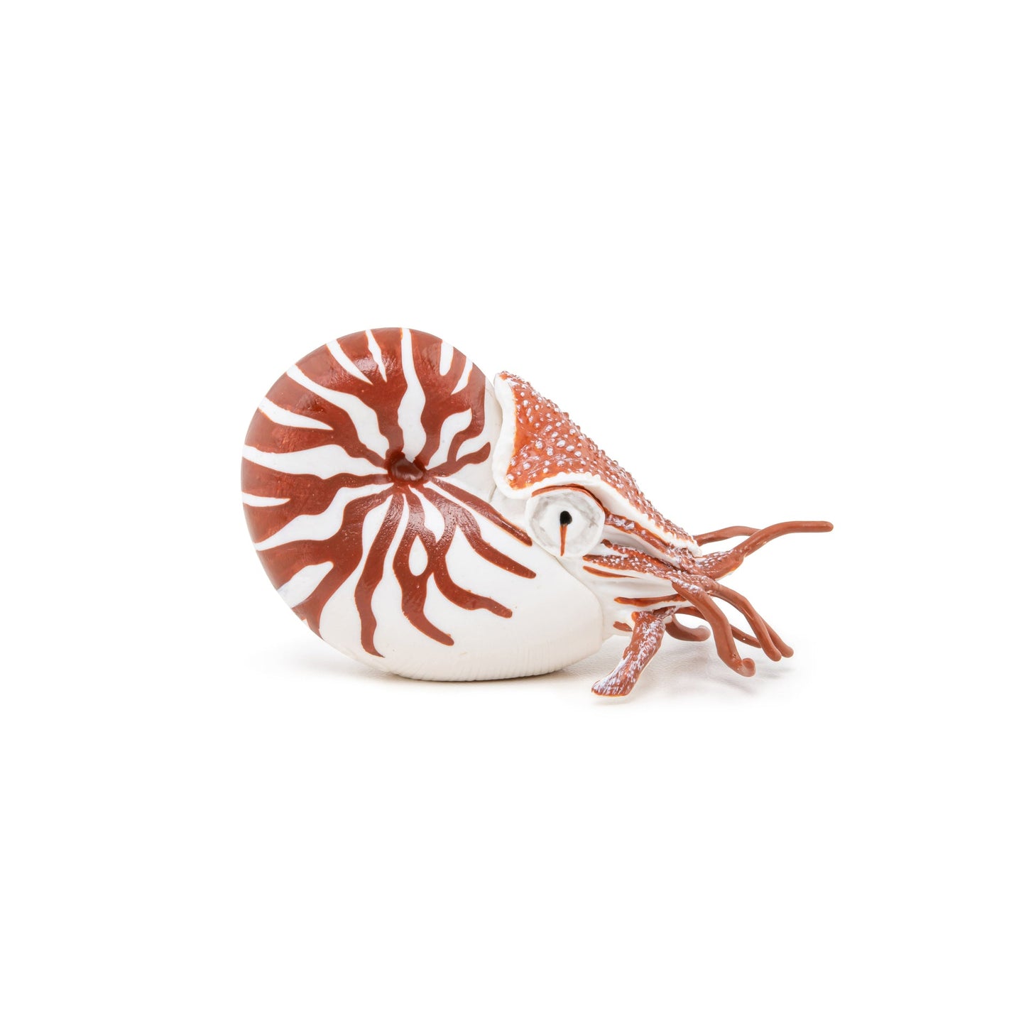 Figurine Nautile
