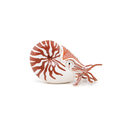 Figurine Nautile