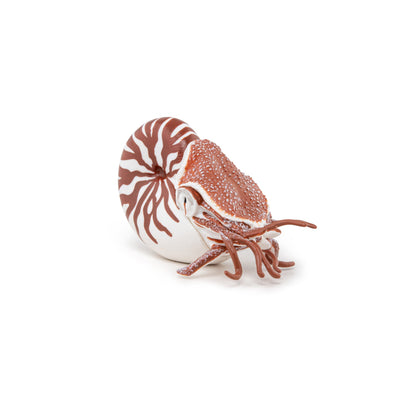 Figurine Nautile