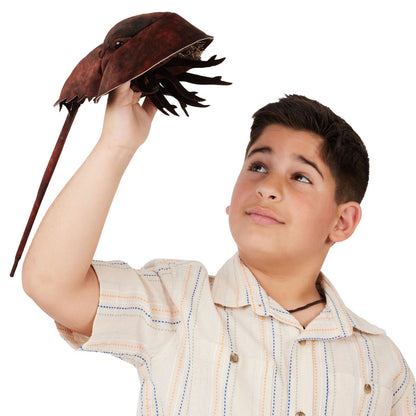 Marionnette à main Crabe à cheval/Crabe de fer à cheval 3218 Folkmanis réaliste