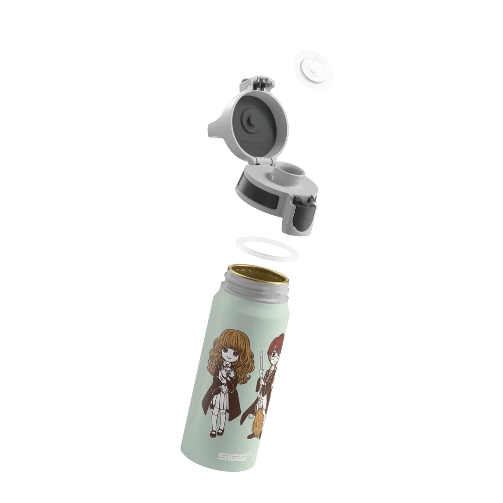 WMB ONE Kids Harry Potter Stand Together 0.6 L Water Bottle 