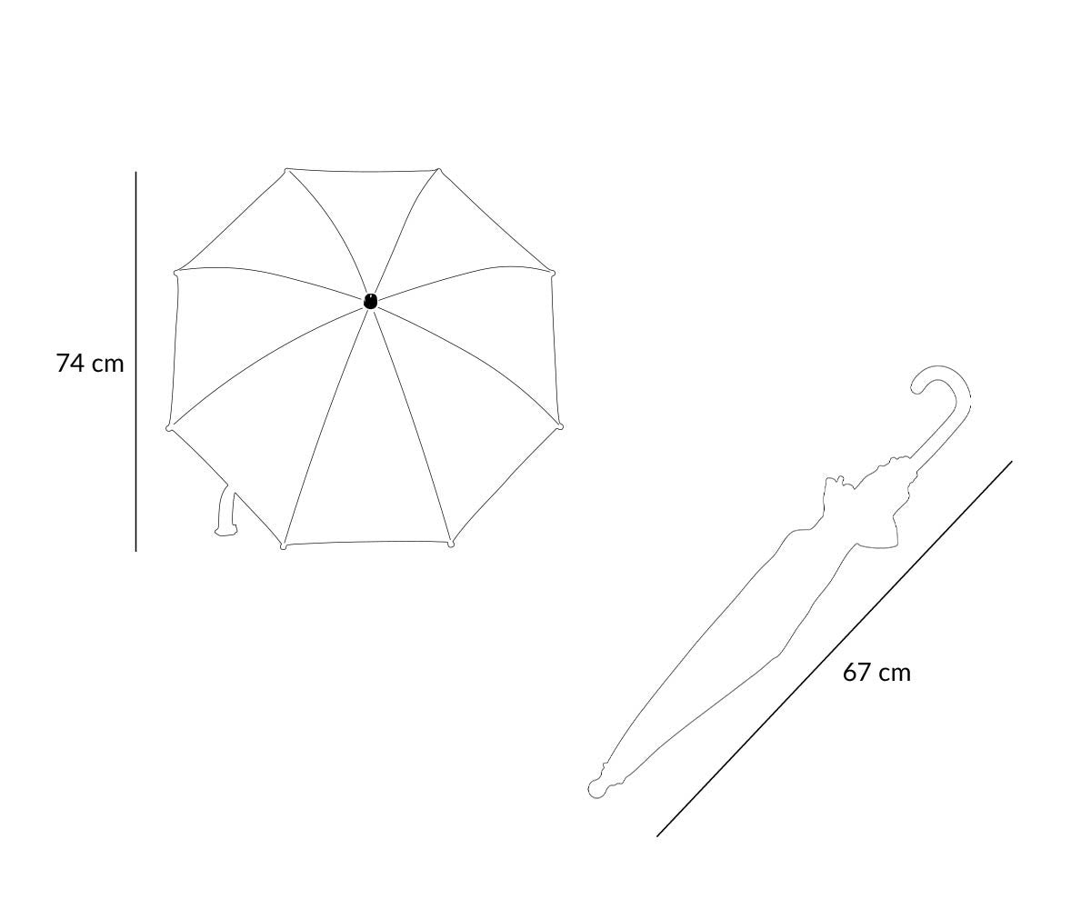Transparent Car Umbrella