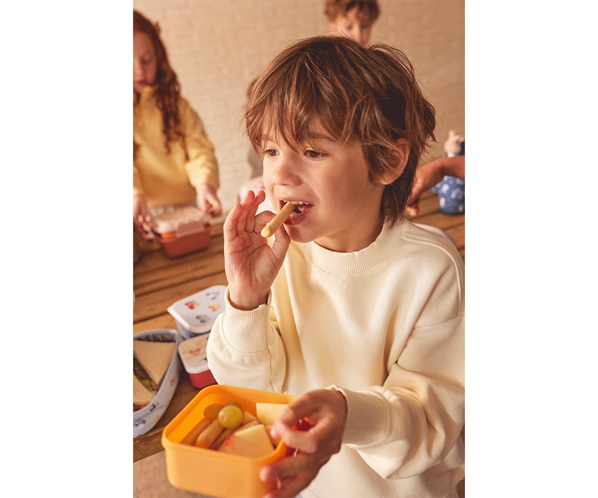 3 Lunchboxen mit den drei kleinen Schweinchen