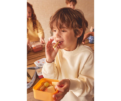 3 Lunchboxen mit den drei kleinen Schweinchen