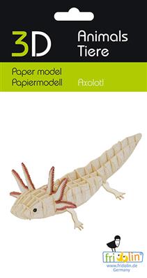3D-Papiermodell - Axolotl
