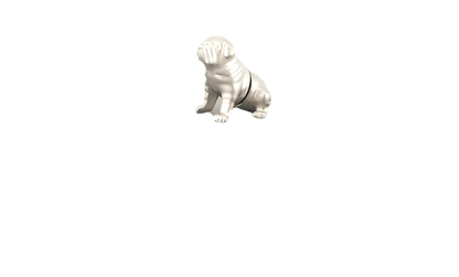 Magnetischer Fotohalter „Bulldog“