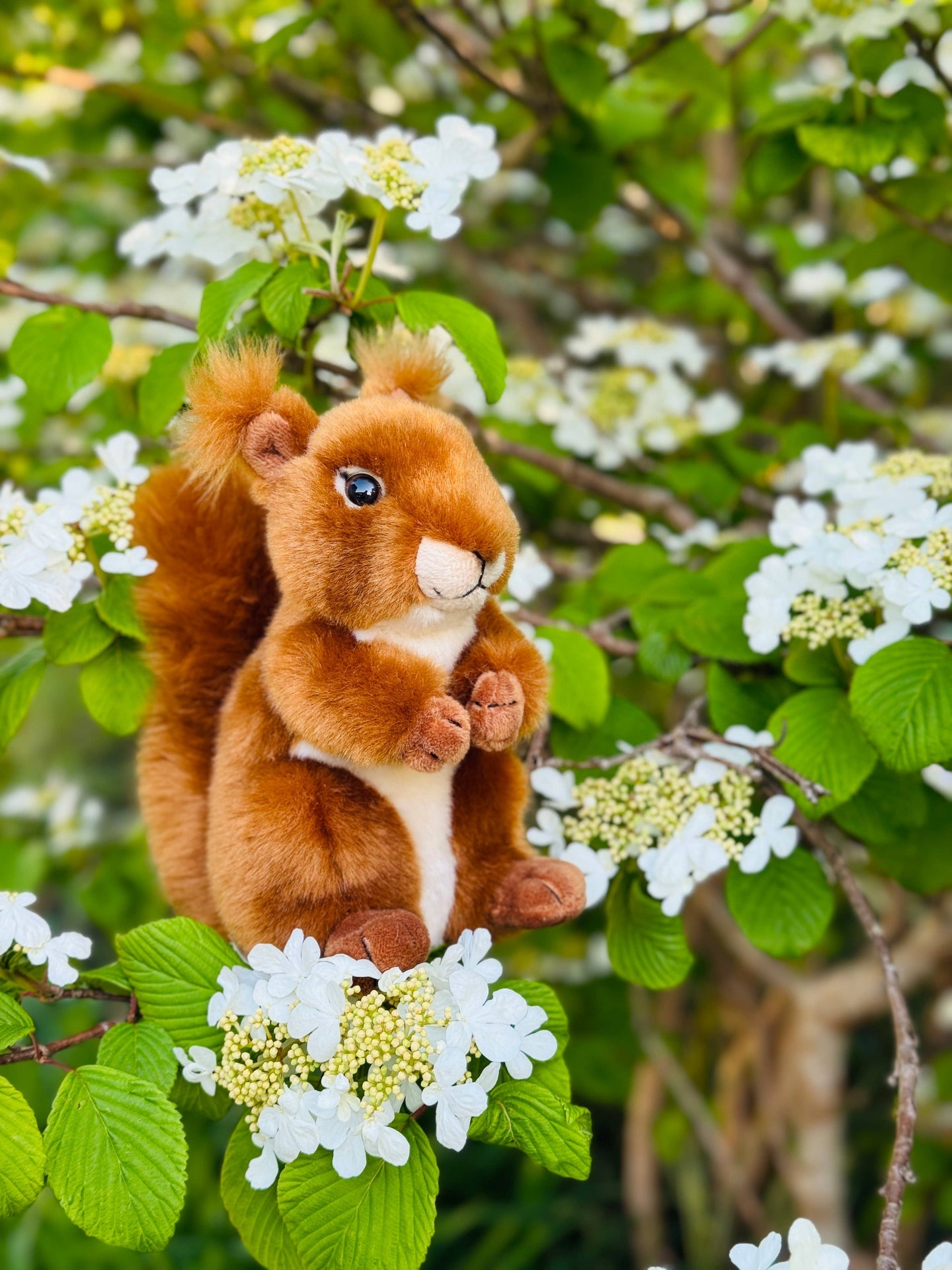 Peluche Écureuil Roux – 17 cm - Teddy Hermann