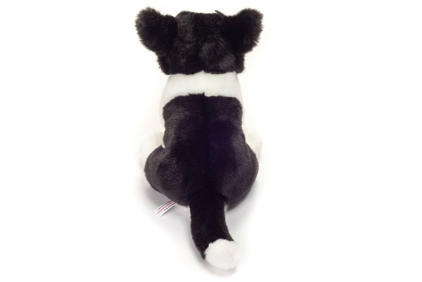Border Collie Puppy Plush Collar