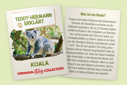 Peluche Koala - Teddy Hermann
