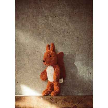 Bébé écureuil animal