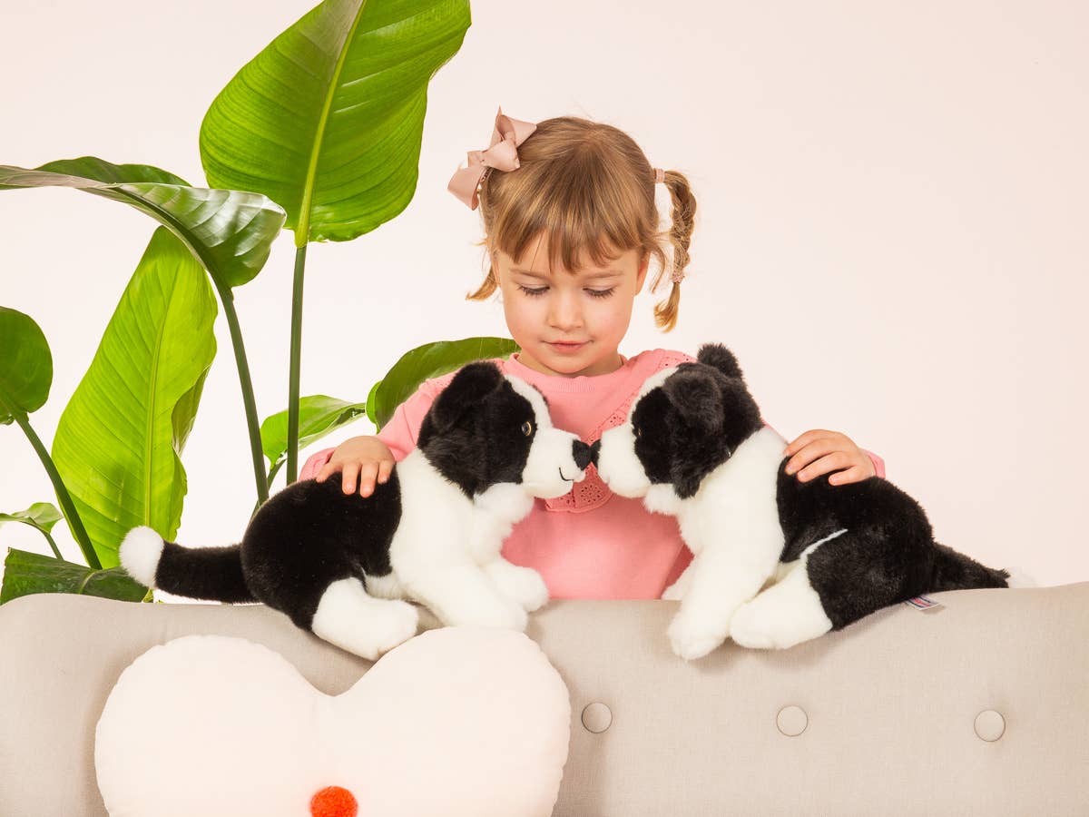 Border Collie Puppy Plush Collar