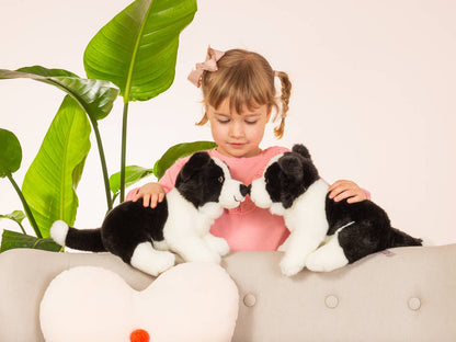 Border Collie Puppy Plush Collar