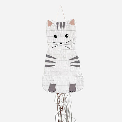 Cat Piñata