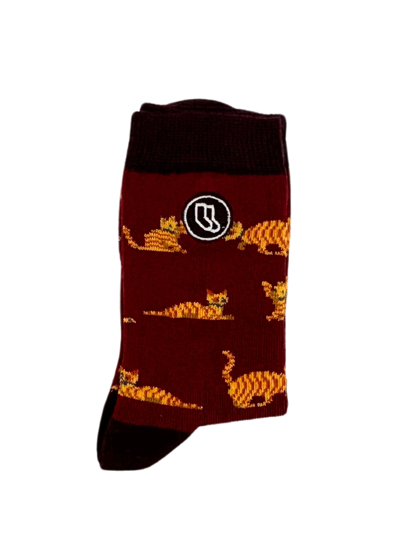 Chaussettes Enfant « Beco – Chat » - Chulé