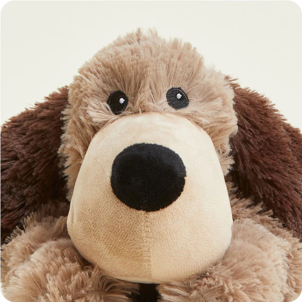 Chien bouillotte Warmies – gamme Juniors