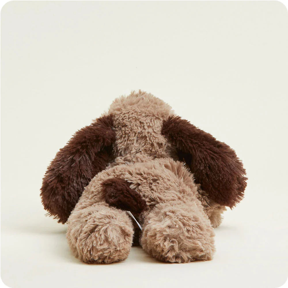 Chien bouillotte Warmies – gamme Juniors