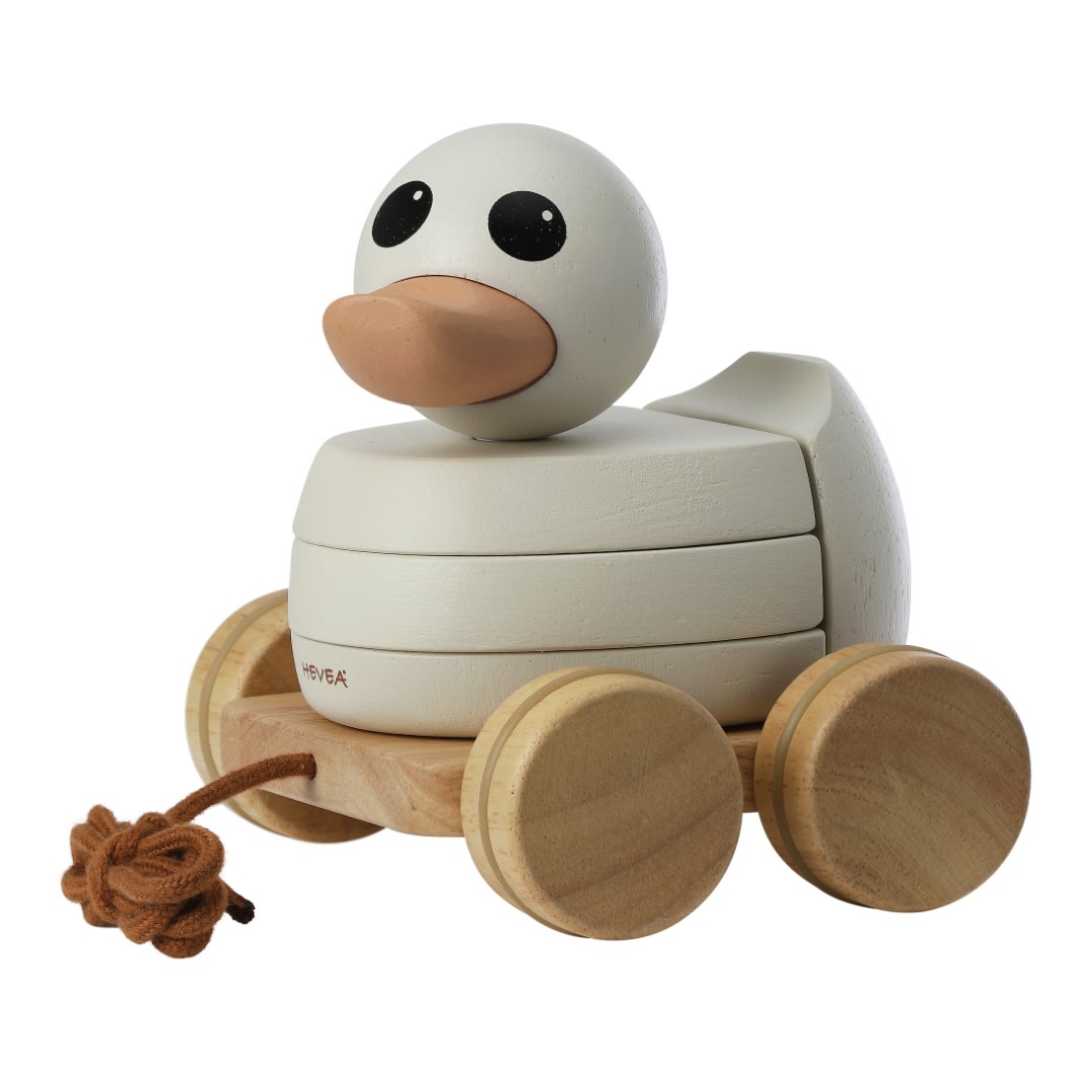 Freund Canard Rubberwood