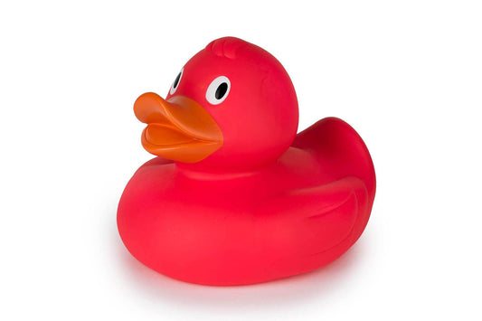 Canard Rose Corail XL – visuel produit