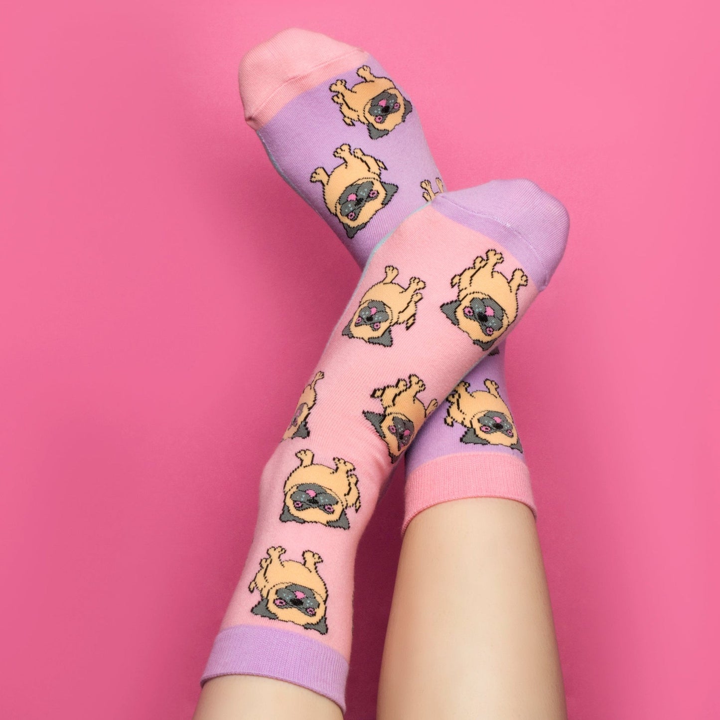 Bulldog thème Coffret cadeau