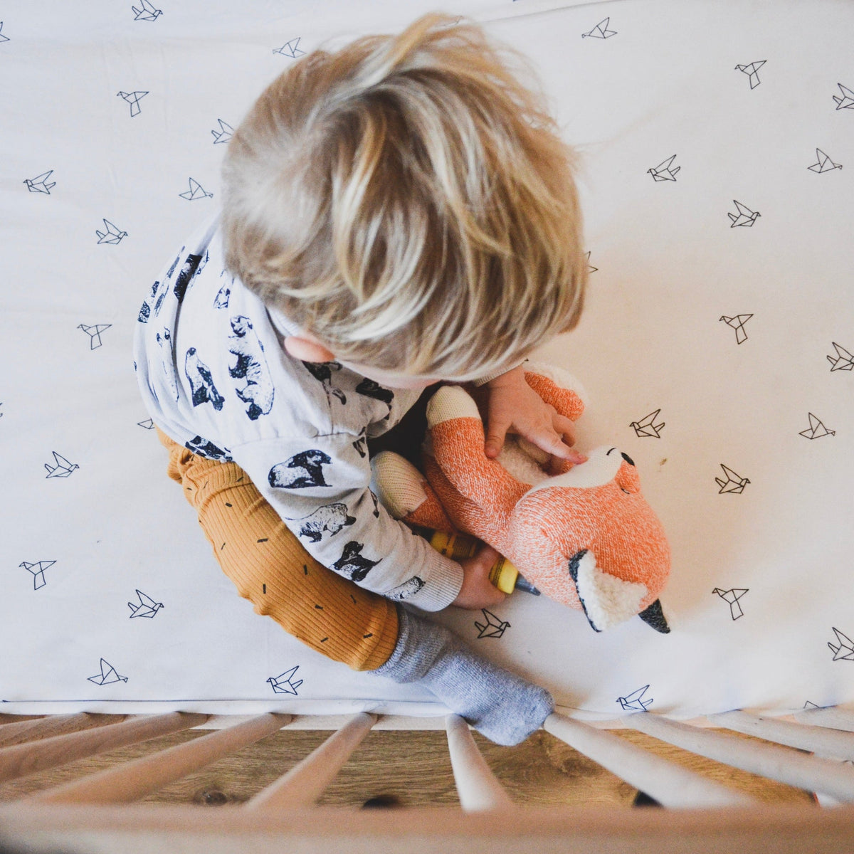 Robin White Noise Soft Toy